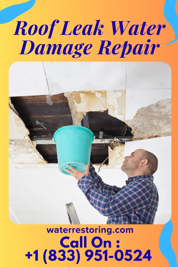 Roof Leak Water Damage Repair in Round Top, TX